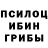 Галлюциногенные грибы GOLDEN TEACHER Kamala Alakbarova