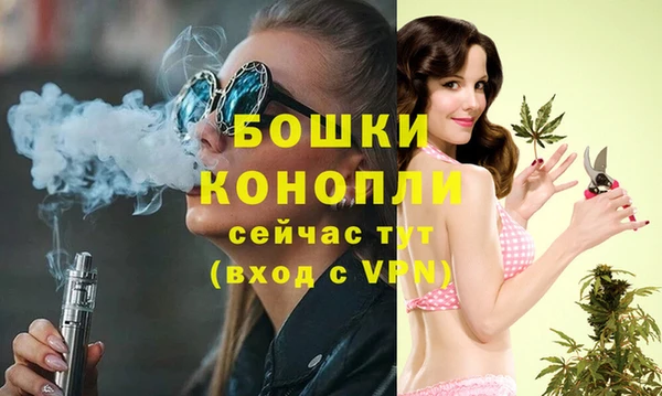 прущий лед Гусев