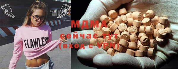 хмурый Гусь-Хрустальный