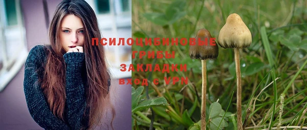 герыч Горнозаводск