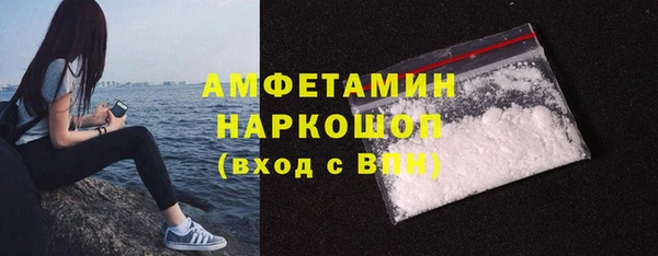 хмурый Гусь-Хрустальный