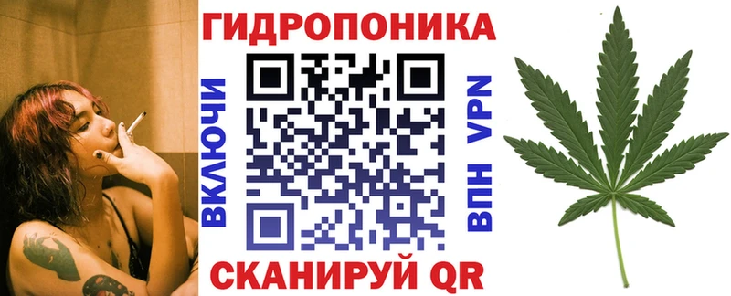 Купить  Поворино  Канабис сатива 